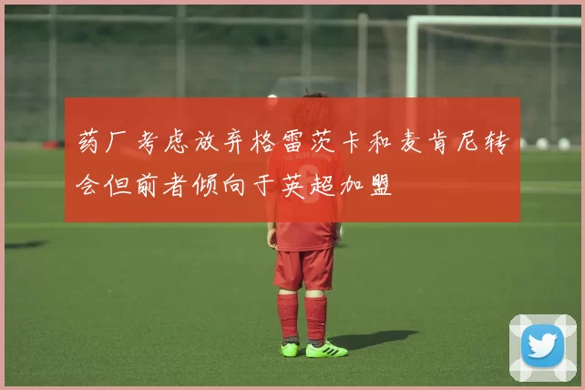 药厂考虑放弃格雷茨卡和麦肯尼转会但前者倾向于英超加盟